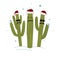 Three Christmas Saguaro Cactuses. Winter in tropical climate concept. Three cacti friend in Santa Hats