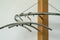 Three chrome plated hangers on a wooden coat rack