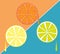 Three citrus fruit slices vector image