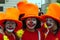 Three clown\'s