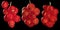 Three clusters of red currants on a black background. Full depth of field