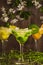 Three cocktails: pineapple, orange, kiwi. fruit soft drink with ice on a wooden background and flowers