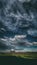 Three coconuts tree with blue sky