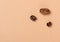 Three coffee beans of an unusual shape on a paper d. Abstract background with grains
