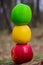 Three colored apples in the form of a traffic light on a tree stump in the woods