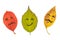 Three colorful autumn leaves with face emotions. Black marker on the red, green and yellow leaves