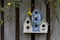 Three colorful birdhouses on wooden fence