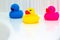 Three colorful and bright plastic rubber ducks seen in profile