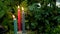 Three colorful candles burning in the forest