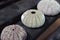 Three colorful dry sea urchin shells lined up on black table