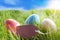 Three Colorful Easter Eggs On Sunny Green Grass With Label With Copy Space