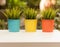 Three colorful flowerpots in the garden