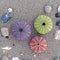 Three colorful sea urchins and some pebbles on wet sand beach