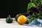 Three colorful zucchinis and basil on a black background. Organic vegetables for healthy salads on a white tablecloth.