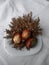 Three colourful painted and decorated Easter eggs on a white plate with jericho rose on a white cloth background