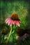 Three Coneflowers with Gunge Layers