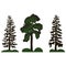 Three conifers, forest, spruce and pine plants