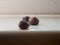 Three conkers on window ledge window background