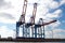 three container cranes in a container terminal in Hamburg, Germany