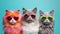 Three cool cats in sunglasses. Illustration AI Generative