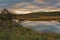 Three Corner Pond walking trail