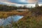 Three Corner Pond walking trail