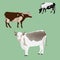 Three cows of different colors