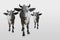 Three cows, white and black color one big and two small cows are standing and looking forward on white background, animal, object