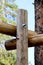 Three Cracked Wooden Log Fastened with New Shiny Bolt with Two Nuts