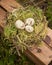 Three cream and brown eggs in a birds nest on a wooden crate