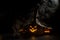 Three creepy Halloween grinning pumpkins glow in the dark among the fog. jack-o-lantern in a witch hat on a black