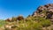 Three Crosses on a Hillside in the Arizona Desert