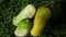 Three cucumbers ready for eating