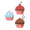 Three cupcakes with blue, red and chocolate cream on white background. Confection concept. Vector illustration of muffin