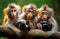 Three curious funny monkeys sit on a branch, holding toy digital