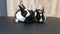 Three cute baby bunnies