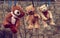 Three cute brown wet teddy bears hanging on a clothesline