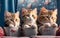 Three cute cat in sunglasses watching a movie with popcorn. Generate Ai