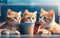 Three cute cat in sunglasses watching a movie with popcorn. Generate Ai