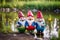 Three cute cheerful gnomes