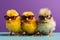 Three cute chicken chicks wearing sunglasses, representing a fun and playful image. Ai generated
