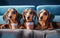 Three cute dachshunds watching a movie with popkorn. Generate Ai