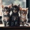 Three cute kittens sitting side by side