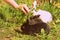 Three cute little rabbits white, black and gray color on green grass on a summer day. Retro style toned