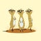 Three cute meerkats standing on the sand and looking warily to the side