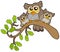 Three cute owls on branch