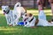 Three cute Parson Russell Terrier