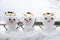 Three cute snowman angles with golden halos