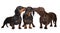 Three dachshund dogs kissing