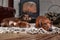 Three dachshunds of brown color with a puppy on a rug next to a working fireplace